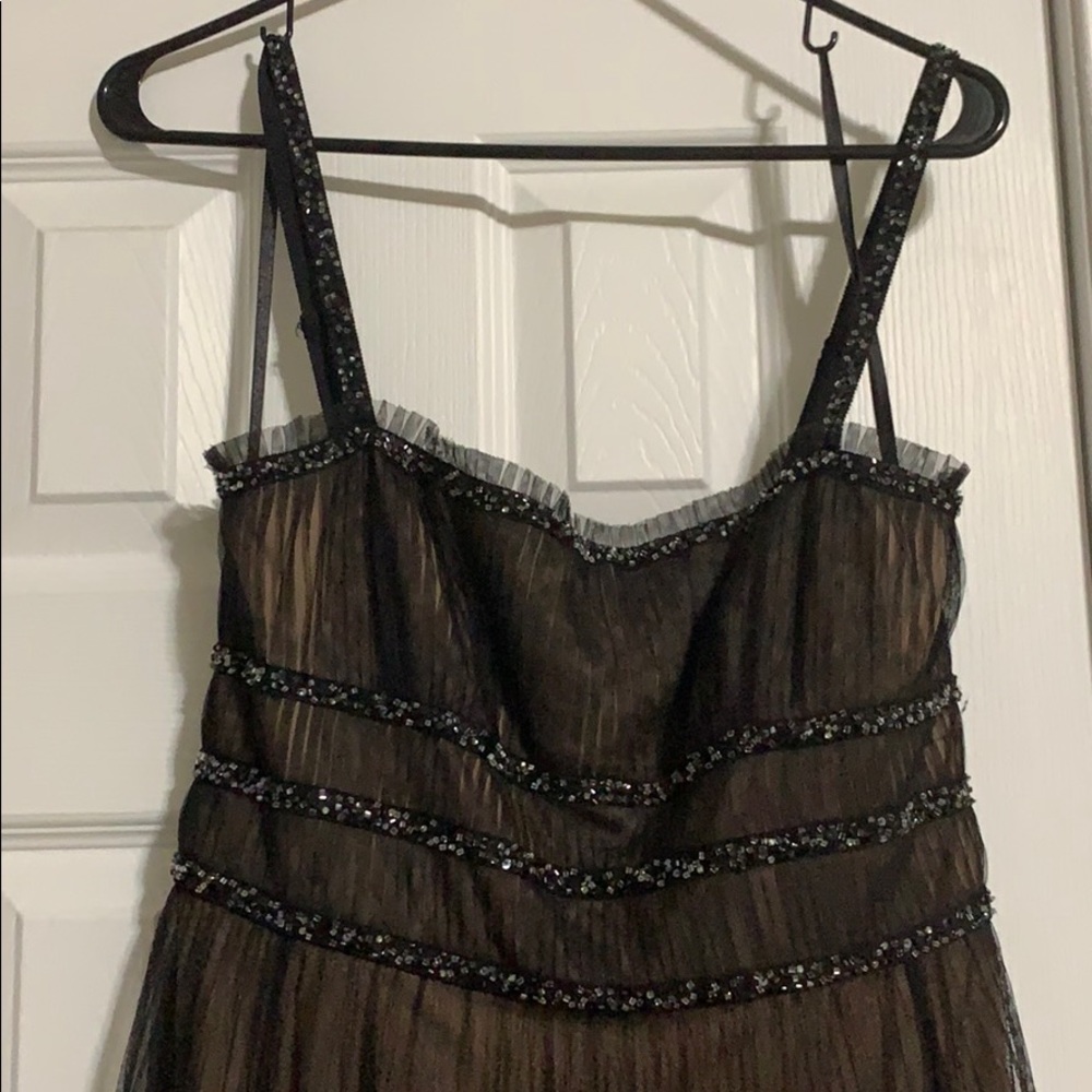 BCBG Dress